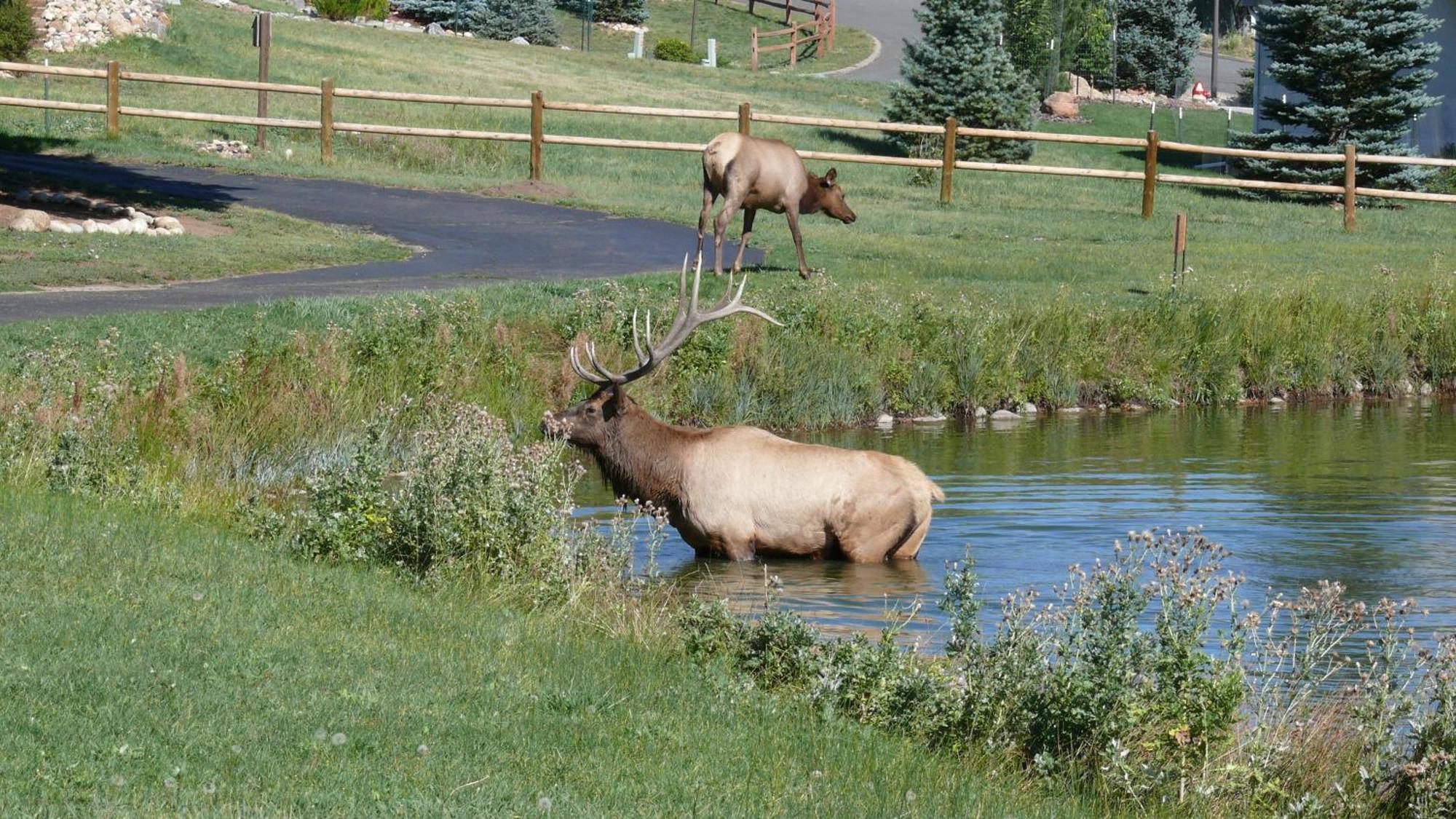 Discovery Lodge Estes Park Exterior foto