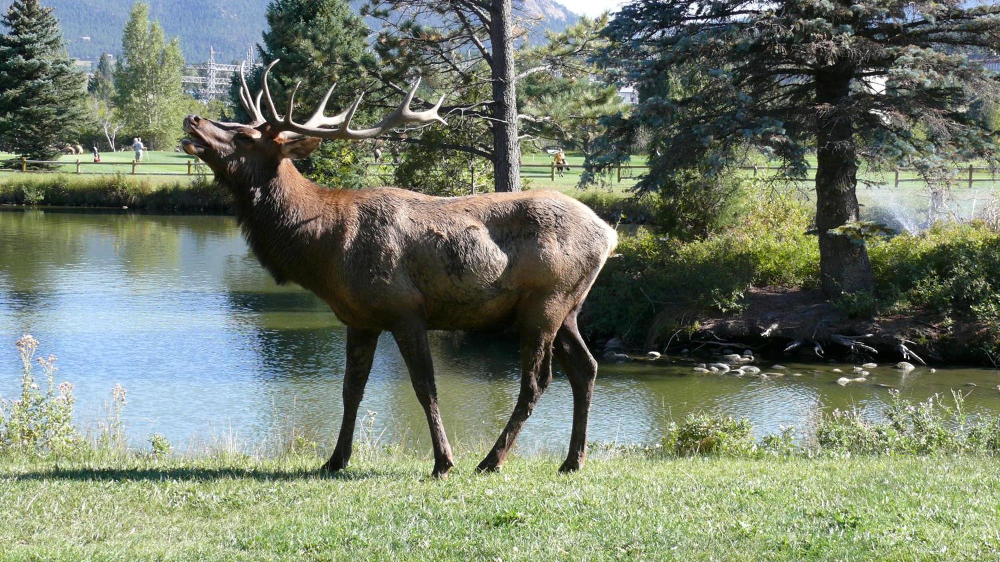 Discovery Lodge Estes Park Exterior foto